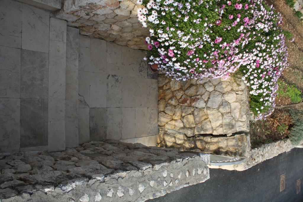 Apartman Marijam *